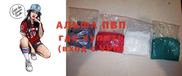 индика Армянск