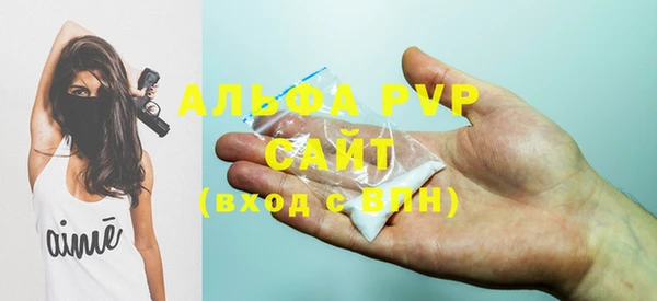 индика Армянск
