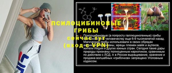 а пвп мука Аркадак